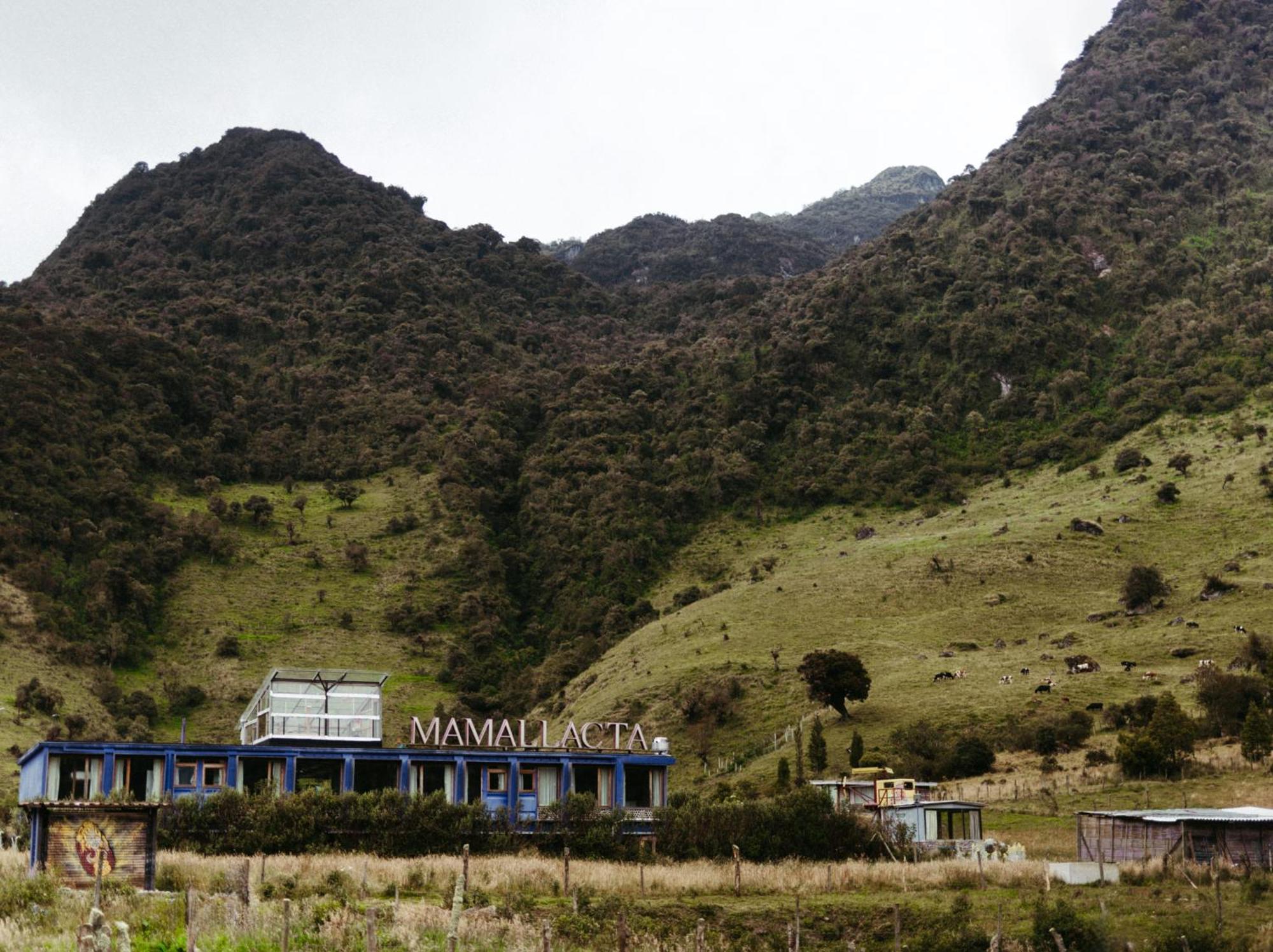 פאפאלקטה Mamallacta Paramo Lodge מראה חיצוני תמונה